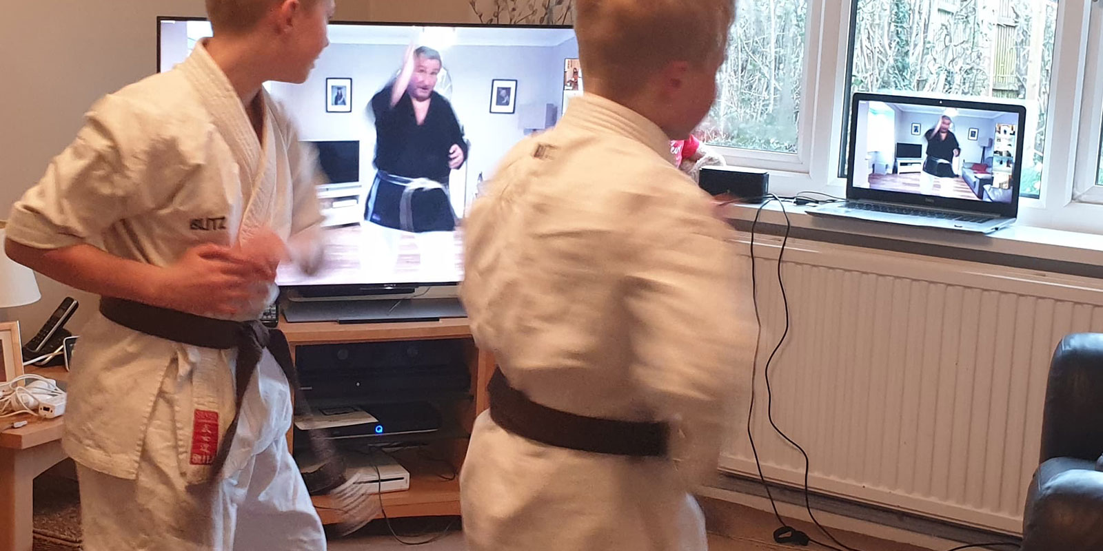 Live streamed karate classes. Take lessons in your home