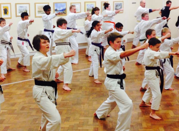 Martyn Harris Karate Academy