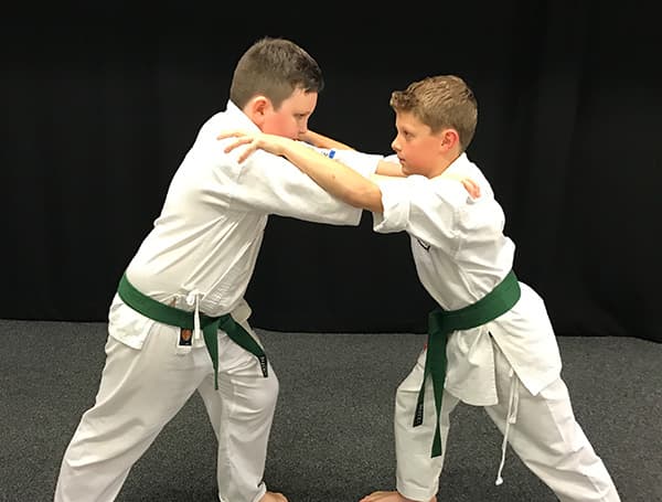 Martyn Harris Karate Academy